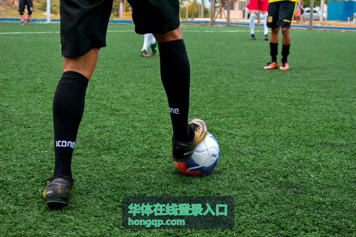 华体在线登录入口账号安全验证栏目封面
